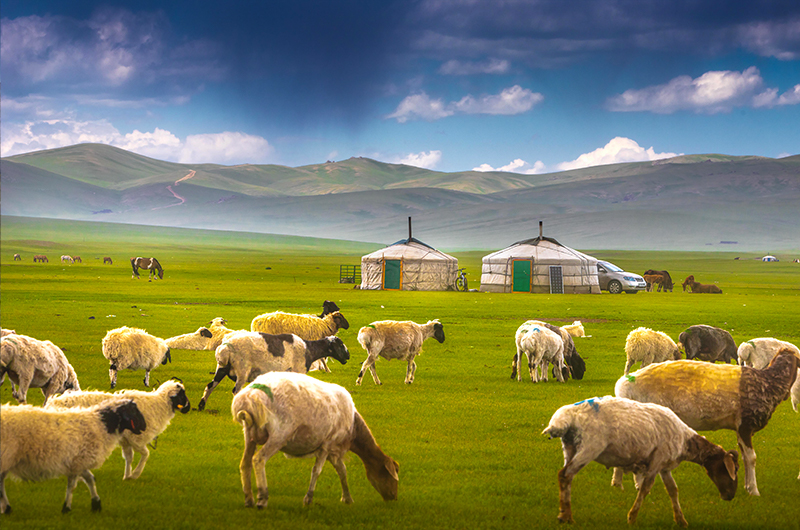 Orkhon valley in Mongolia